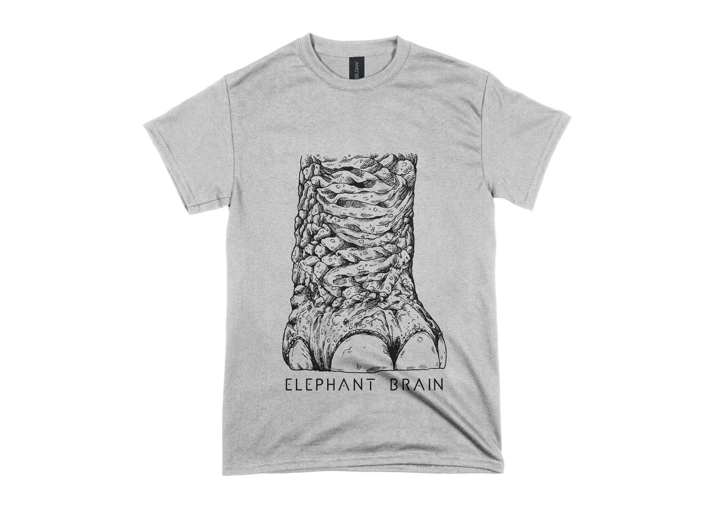 T-Shirt ZAMPA - Grigia