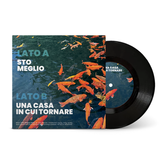 Sto meglio / Una casa in cui tornare - 45 GIRI